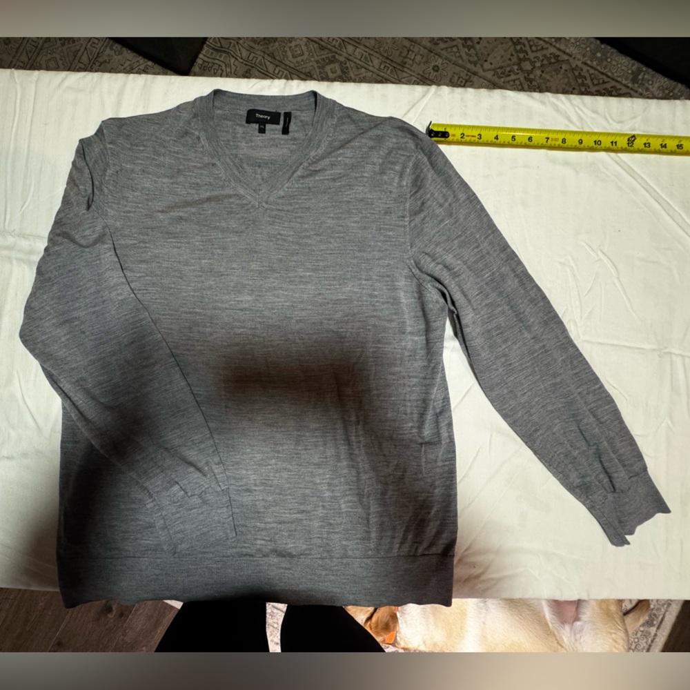 Men’s Crewneck Sweater | Theory | 100% Wool